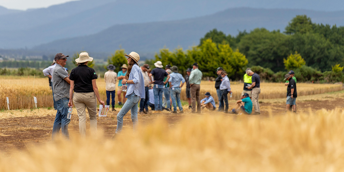 FARMS 5.0 Project Kick-off Meeting Successfully Held in&nbsp;Cyprus